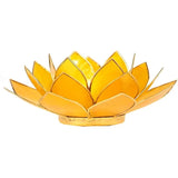 Bougeoir Lotus grand modèle bords dorés